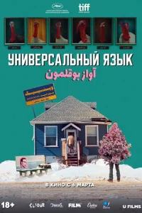  Универсальный язык 